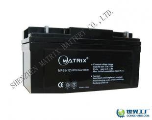 供應(yīng)溫州直流屏電源電池廠12V65AH溫州ups不間斷電源電池廠_能源_世界工廠網(wǎng)中國產(chǎn)品信息庫